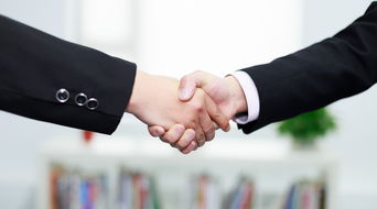 公司转让的法律条件与注意事项